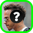 Formula 2019 : Driver Guess