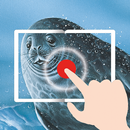 APK TapADot-SeasAndOceans