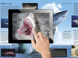 TapADot-SeasAndOceans screenshot 2