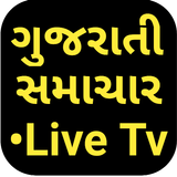 Gujarati News Live Tv Free :All Gujarati News Live icône