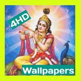 Radha Krishna Wallpapers icône