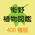 街野植物図鑑　400種版