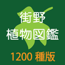 街野植物図鑑　1200種版 APK