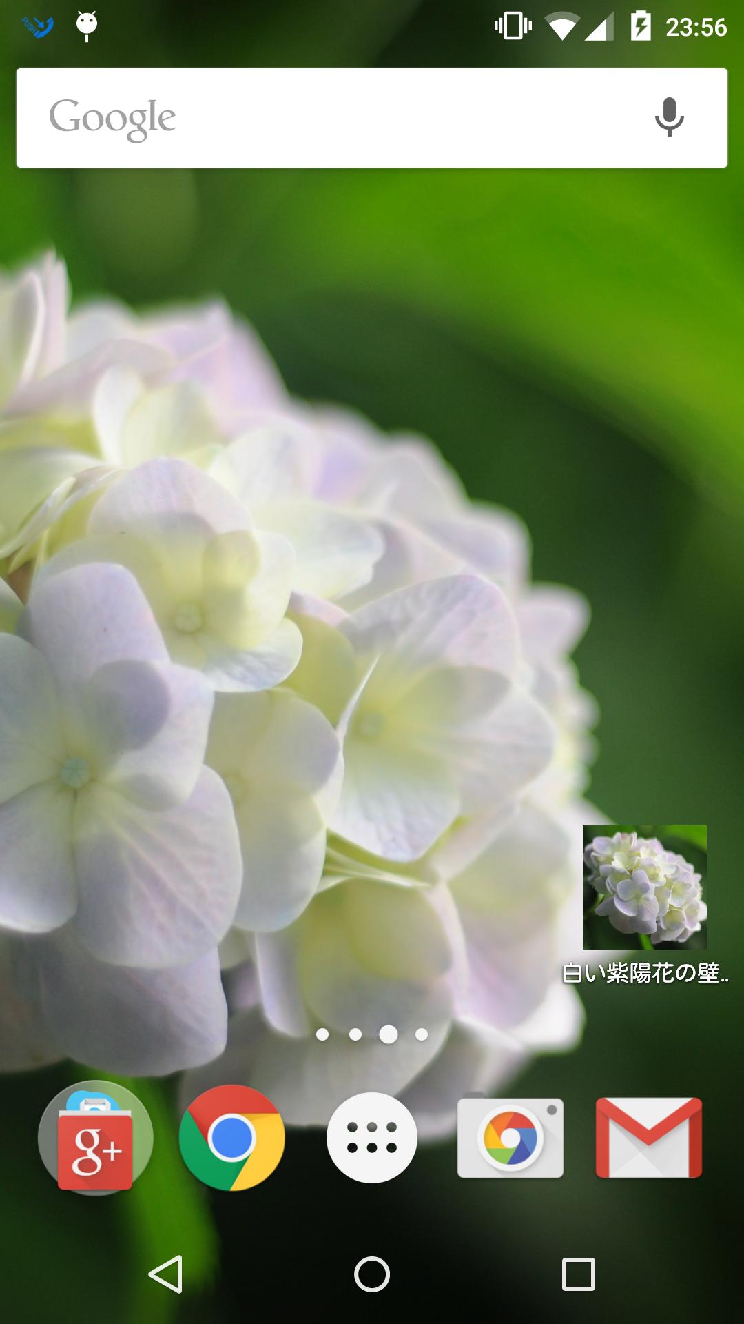 白い紫陽花の壁紙 For Android Apk Download