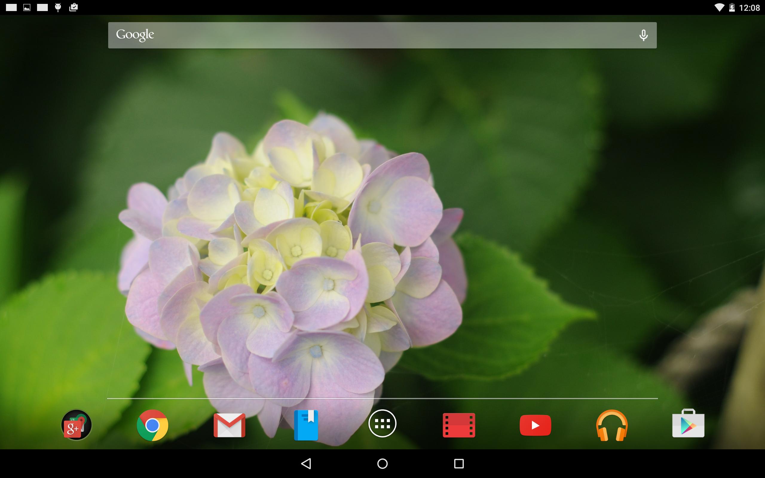 白い紫陽花の壁紙 Para Android Apk Baixar