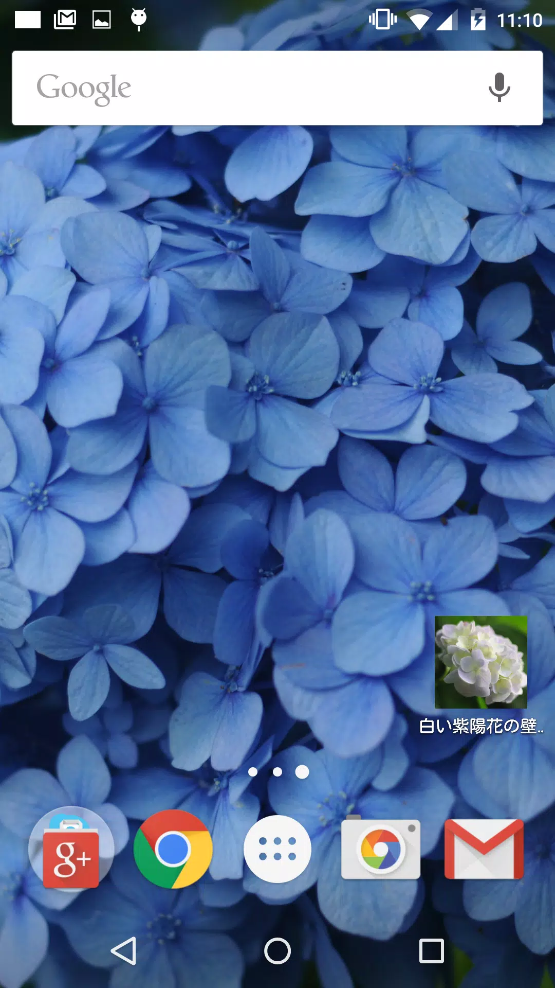 下载青色や水色の紫陽花の壁紙的安卓版本
