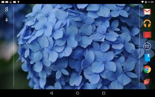 青色や水色の紫陽花の壁紙 capture d'écran 2