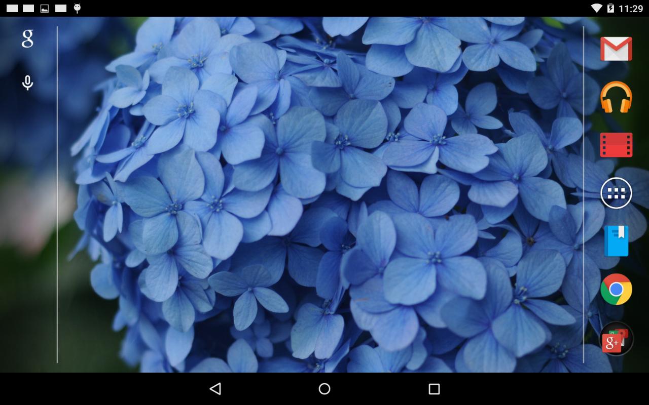 青色や水色の紫陽花の壁紙無料版free安卓下载 安卓版apk 免费下载