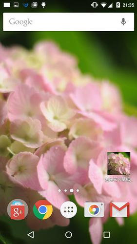 ピンク色の紫陽花の壁紙 For Android Apk Download