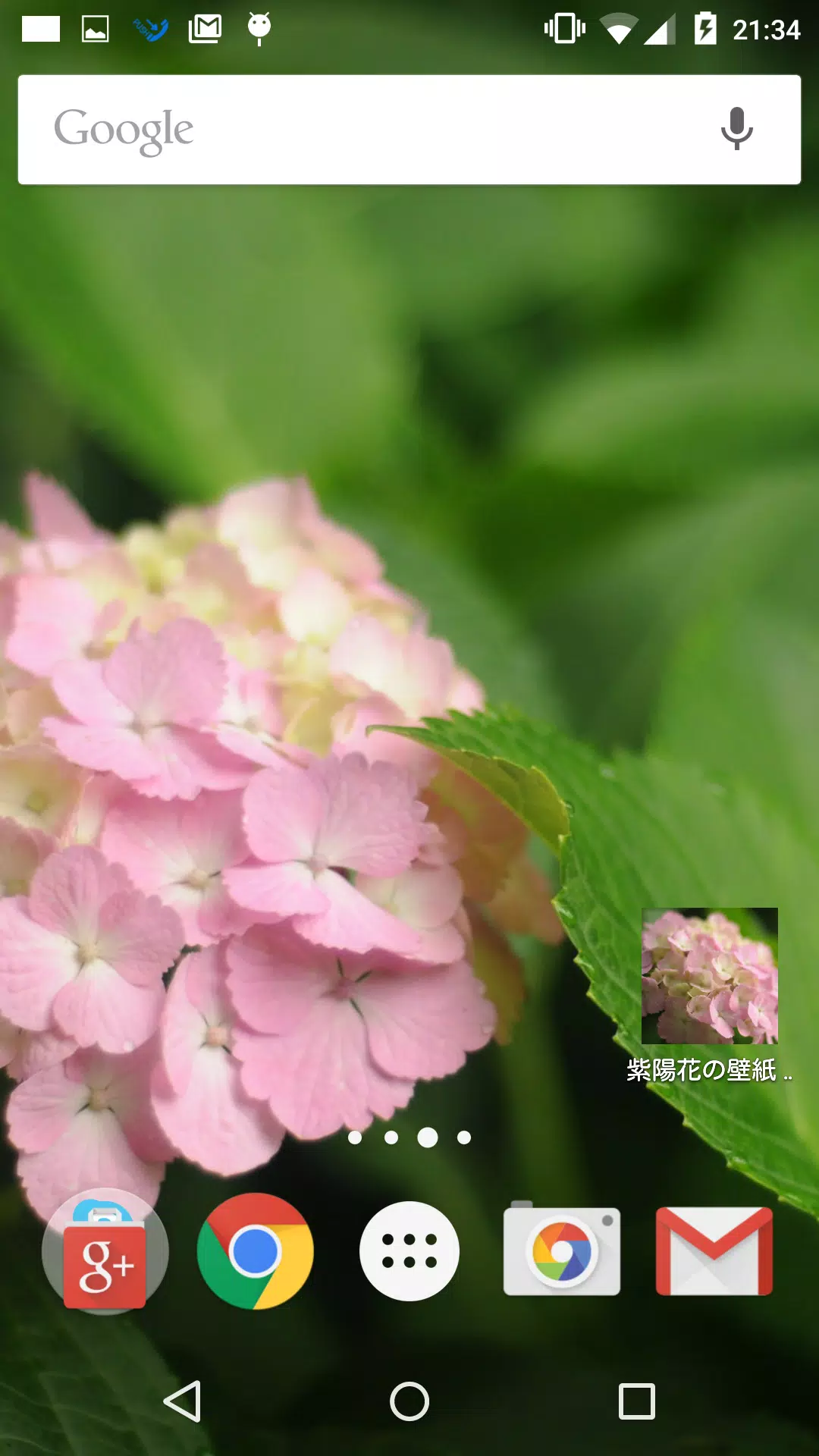 ピンク色の紫陽花の壁紙 Apk Voor Android Download