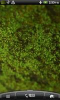 苔 緑色のコケ 壁紙 الملصق