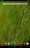 苔 緑色のコケ 壁紙 syot layar 1