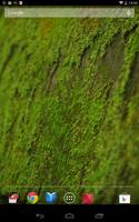 苔 緑色のコケ 壁紙 syot layar 2