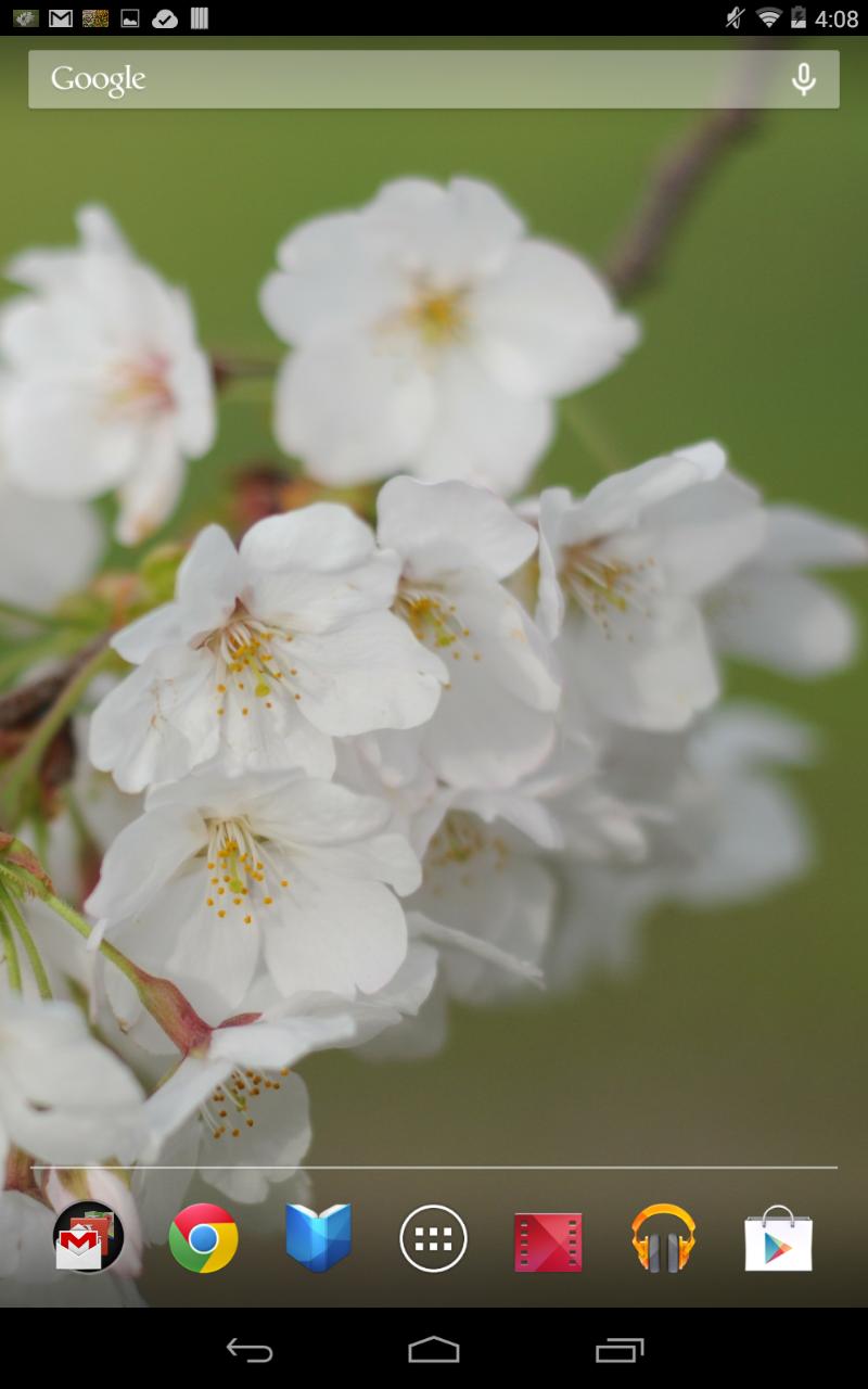 桜の花 壁紙 無料版freeフリー Para Android Apk Baixar