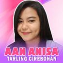 Aan Anisa Tarling Mp3 Offline APK