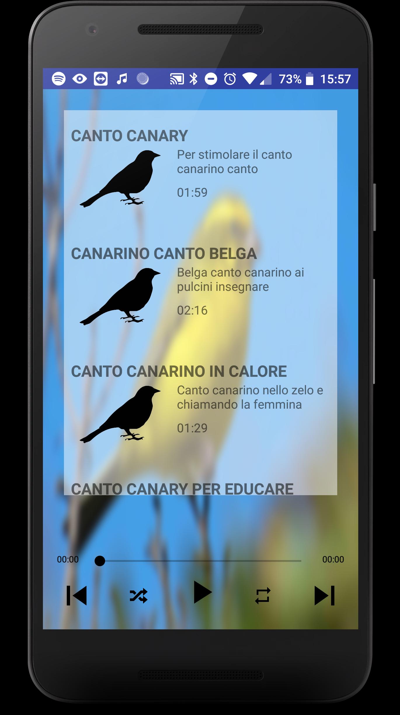 scarica canto di canarini da