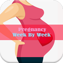 Pregnancy Week By Week APK