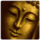 Buddhism Quiz APK