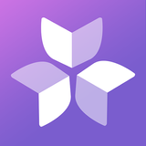 Onlit icon