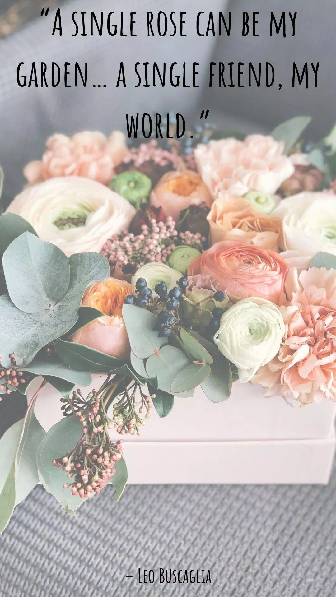 Best Inspiring Friendship Quotes and Wallpapers APK for Android Download Best Inspiring Friendship Quotes and Wallpapers APK for Android Download