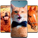جانوروں کے وال پیپر HD / 4K APK