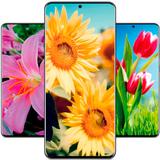 Садовые обои Full HD / 4K APK