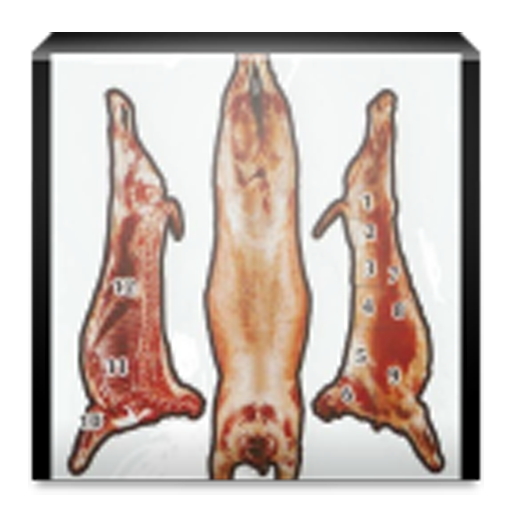 Calculador peso canal vacuno