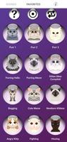 perros y gatos tonos Poster