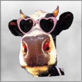 супер глупые мелодии APK