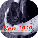 APK Black Rose Wallpaper 2020