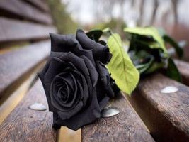 Black Rose captura de pantalla 1