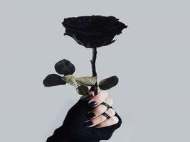 Black Rose ảnh chụp màn hình 2