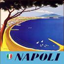Naples Travel guide APK