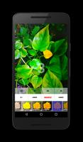 JS Camera Screenshot 2