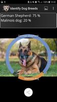 Identify Dog Breeds ảnh chụp màn hình 1
