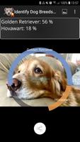 Identify Dog Breeds Pro تصوير الشاشة 1