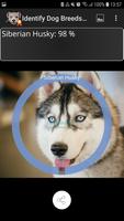 Identify Dog Breeds Pro تصوير الشاشة 2