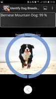 Identify Dog Breeds Pro تصوير الشاشة 3