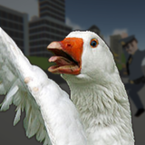 Crazy Goose Simulator APK for Android Download