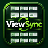 ViewSync- Multi-View Player