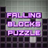 Falling Block Puzzle