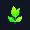 Mint - The Fastest VPN! 아이콘