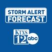 KTXS Weather আইকন