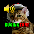 Kucing Zone : Suara Kucing dan
