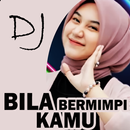 APK DJ Bila Bermimpi Kamu