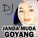 DJ Janda Muda Goyang APK