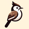 Docho - 背單詞、練聽力工具 APK