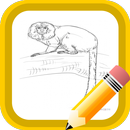 How to draw animals 6-APK