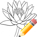 Como dibujar flores APK