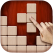 Wood Block Puzzle Plus